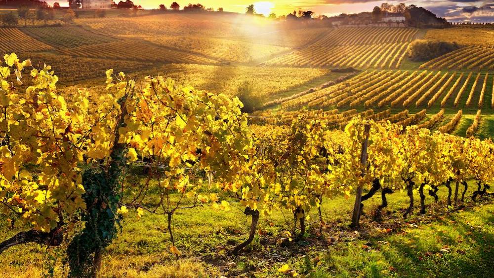 moderato mise sur le vin faiblement alcoolise