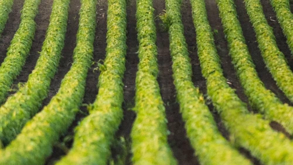 agtech laventure de ferme digitale