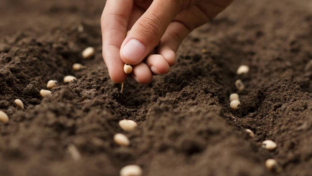 miimosa la plateforme de financement participatif dediee a lagriculture