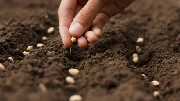 miimosa la plateforme de financement participatif dediee a lagriculture