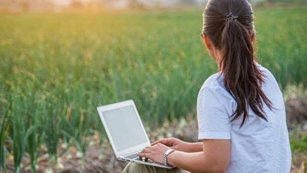hectar lecole dagriculture de xavier niel