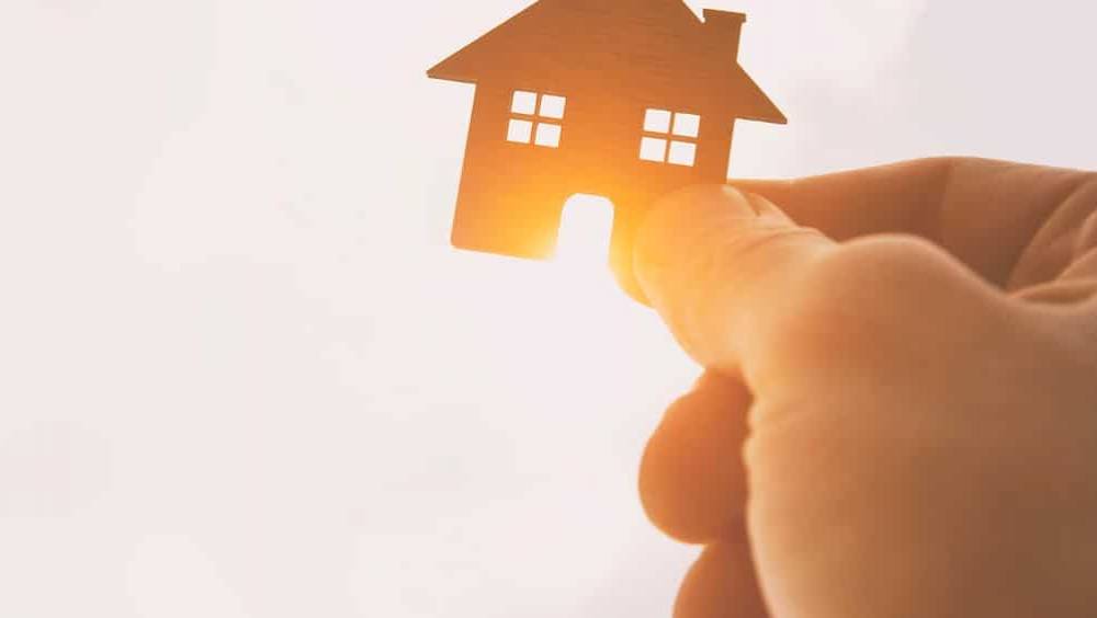 philippe lamarque lance la premiere usine europeenne de beton en panneaux de chanvre