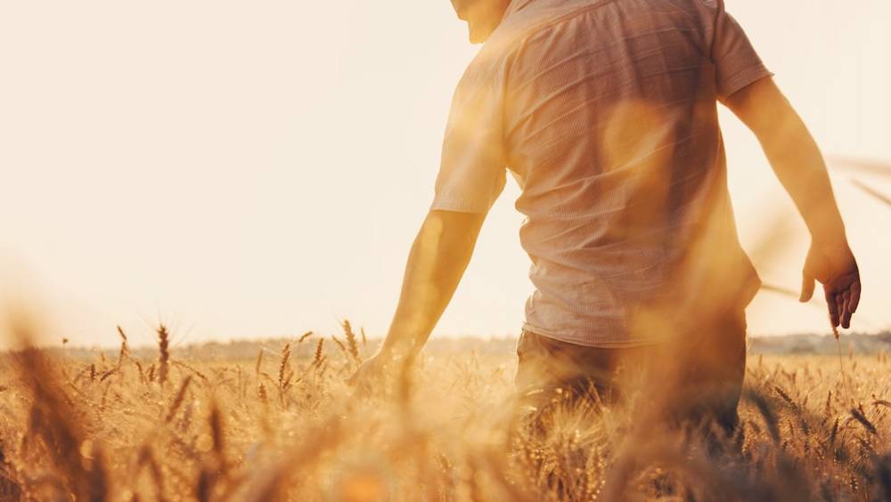 agriconomie le site marchand de reference des agriculteurs
