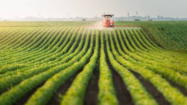 relance economique le grand defi de lagriculture et des industries agricoles et alimentaires iaa