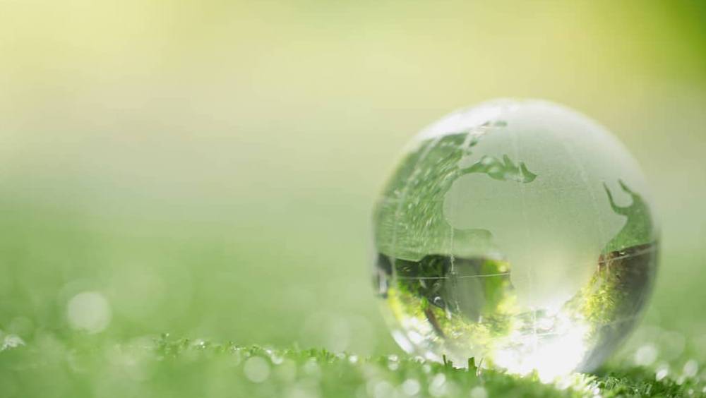 ecovadis entre dans le cercle tres ferme des licornes francaises