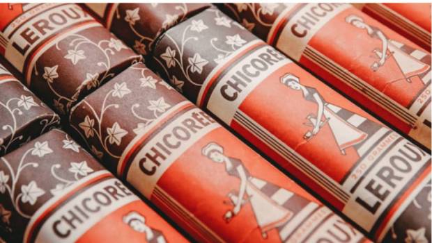 la nouvelle vie de la chicoree leroux produit star des chtis