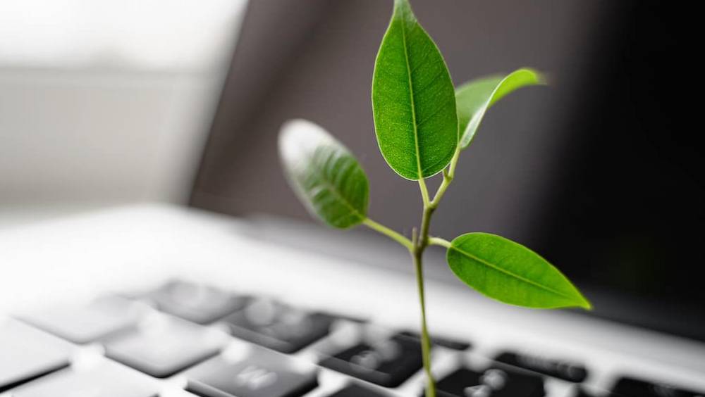 green it la transition energetique aussi pour la tech