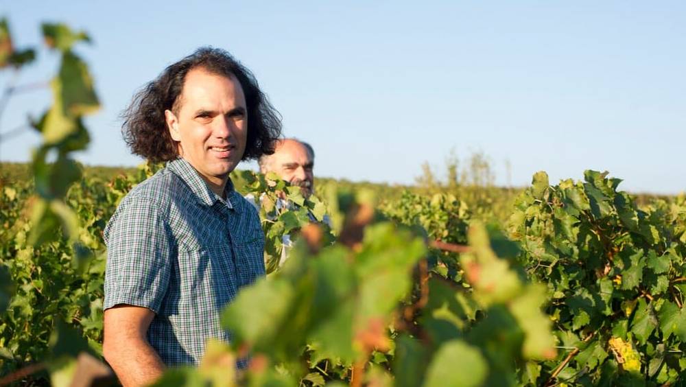 vincent pugibet le pionnier du vin desalcoolise