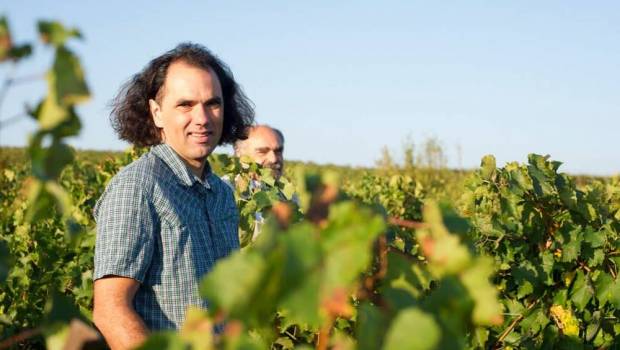 vincent pugibet le pionnier du vin desalcoolise