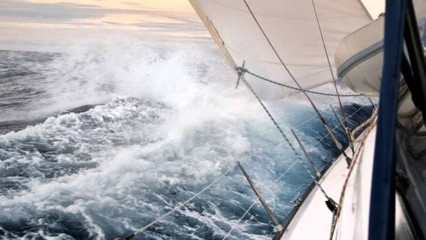 vers une annee de tous les records pour la route du rhum