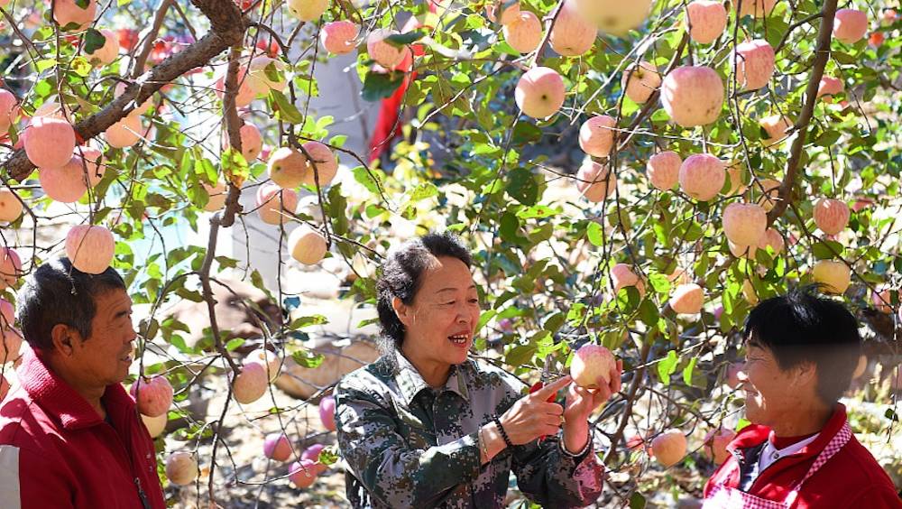 la chine cherche a faire des services financiers un accelerateur de la revitalisation rurale