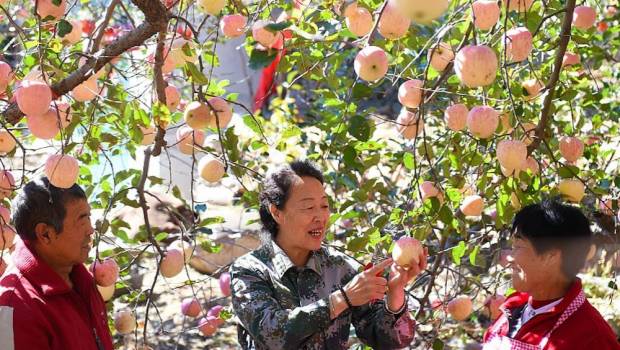 la chine cherche a faire des services financiers un accelerateur de la revitalisation rurale