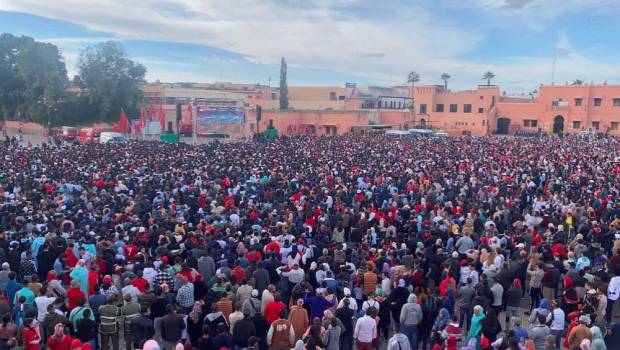 quand tout le maroc rugit de plaisir pour ses lions de latlas