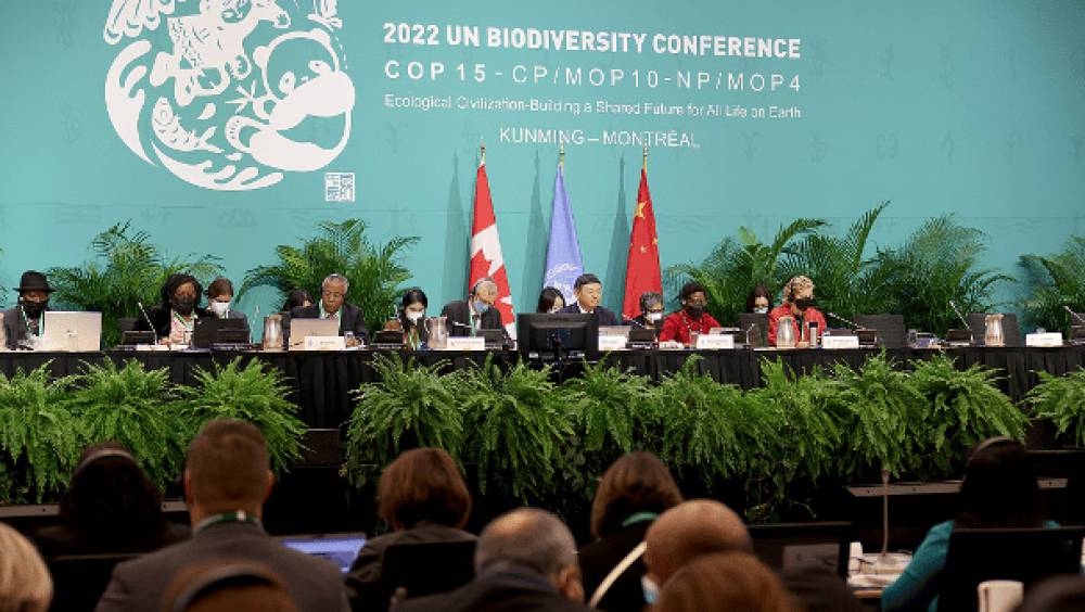 cop15 la prochaine reunion ministerielle vise a favoriser laboutissement dun cadre mondial pour la biodiversite