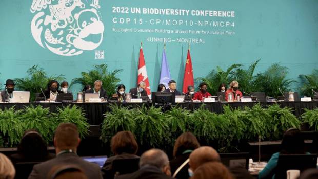 cop15 la prochaine reunion ministerielle vise a favoriser laboutissement dun cadre mondial pour la biodiversite