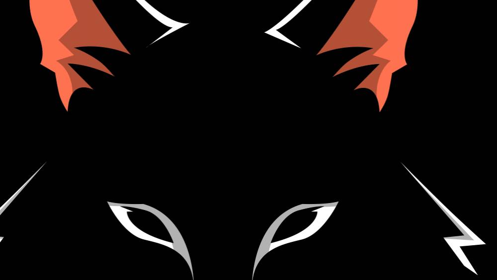 surface coach une franchise innovante et exigeante dans lunivers du fitness