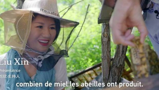 liu xin et professeur majid ghorbani visitent un abeiller a miyun