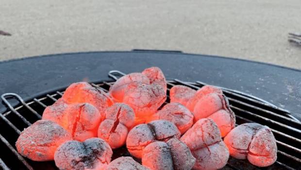 le groupe soler leader du charbon de bois propre