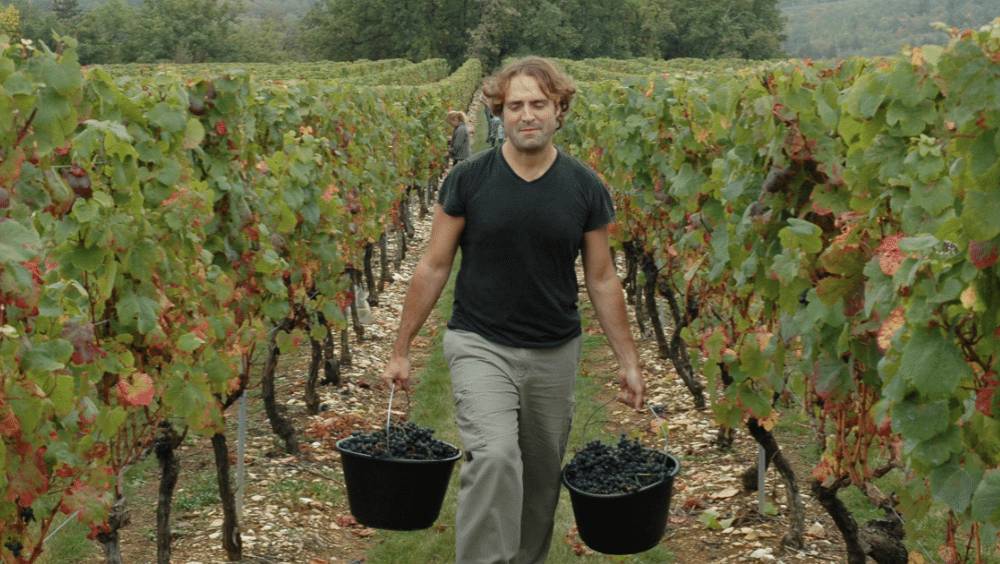 martial guiette roques de cana le challenger du vin de cahors