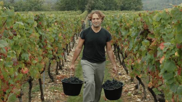 martial guiette roques de cana le challenger du vin de cahors