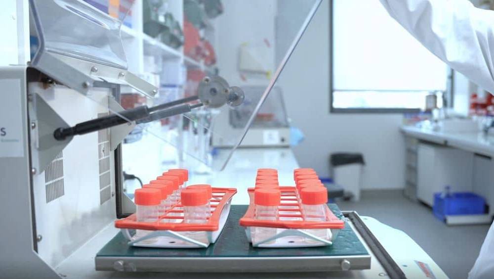 carbios une solution inspiree de la nature pour recycler les dechets plastiques