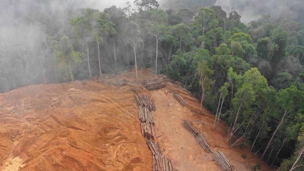 impression a la demande