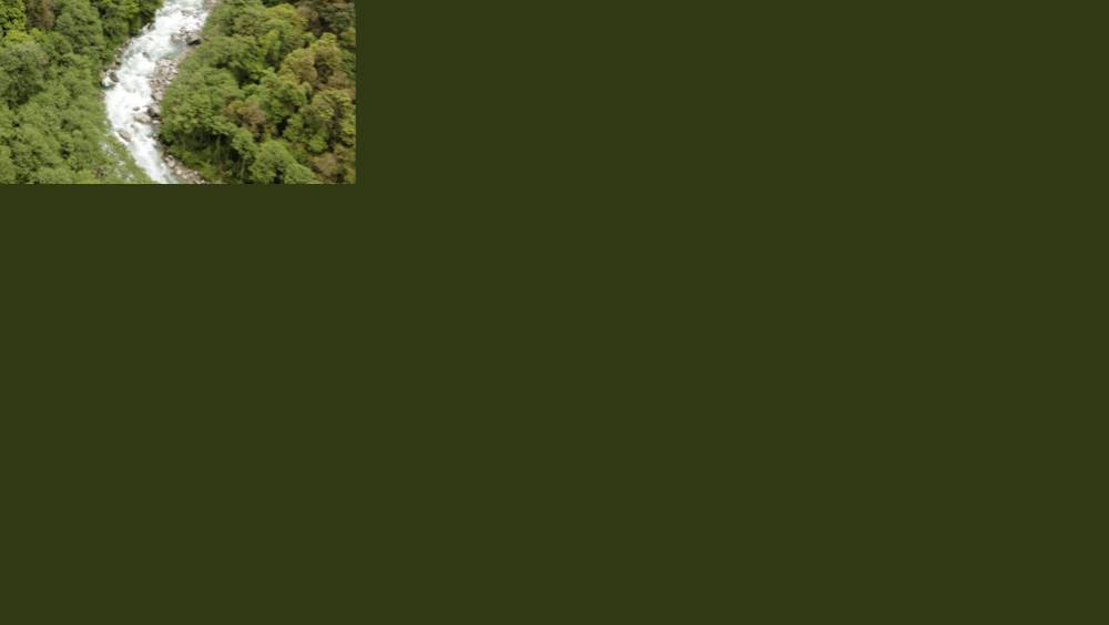 chine le bassin du canyon du yarlung zangbo un paradis de la biodiversite