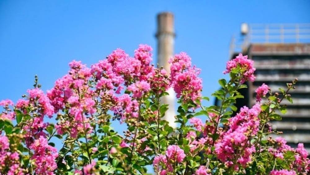 chine beijing encourage le developpement des usines vertes