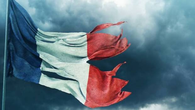 la democratie francaise a lagonie les solutions a mettre en oeuvre