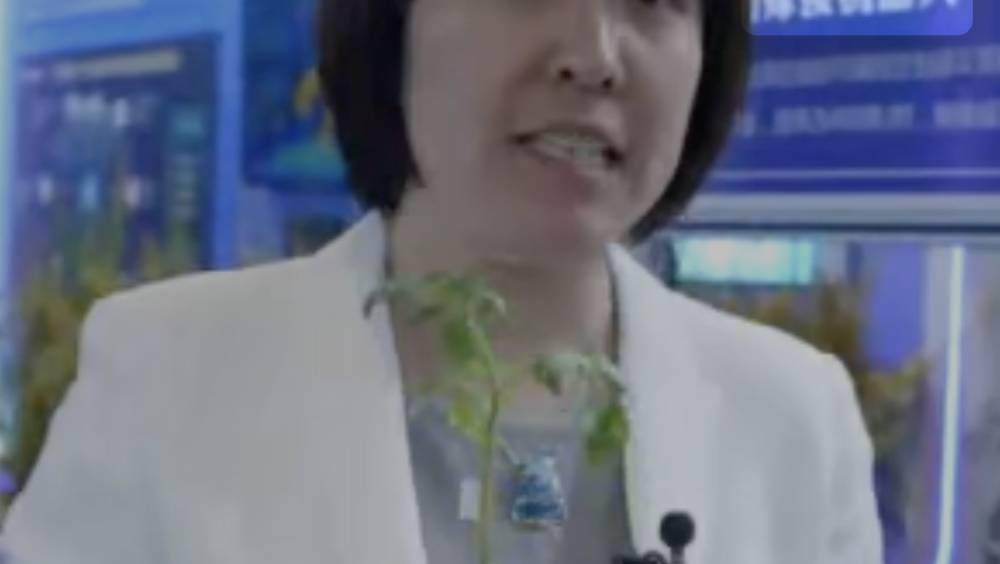 conference mondiale de linterent les technologies numeriques envisagent la vie au futur