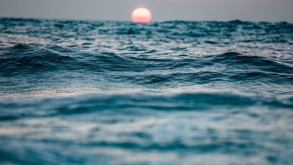 entre contrat et secret la valorisation des actifs immateriels en mer