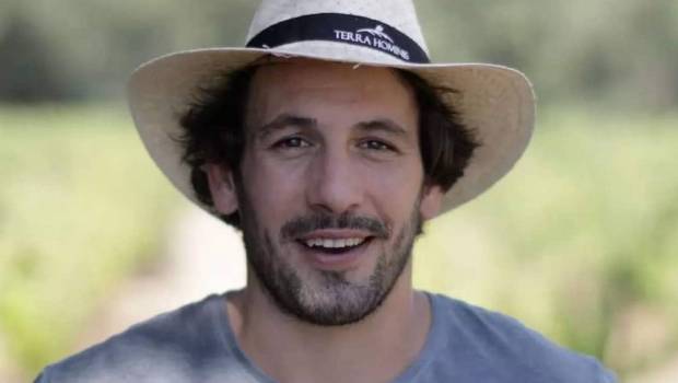 ces stars du rugby devenues vignerons