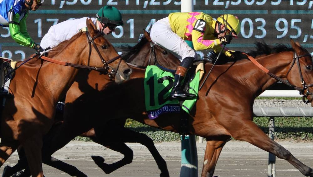 courses hippiques une annee 2023 exceptionnelle