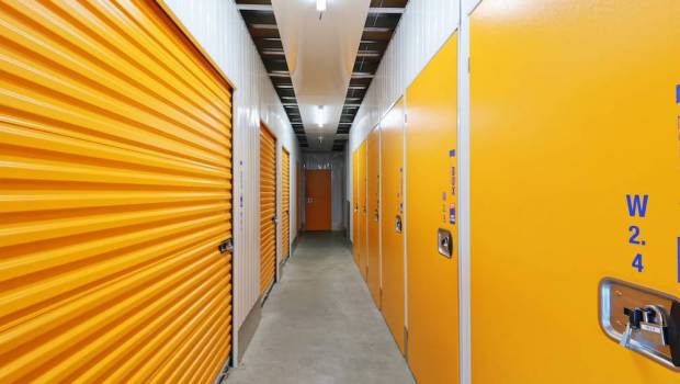 mondialbox un parcours gagnant