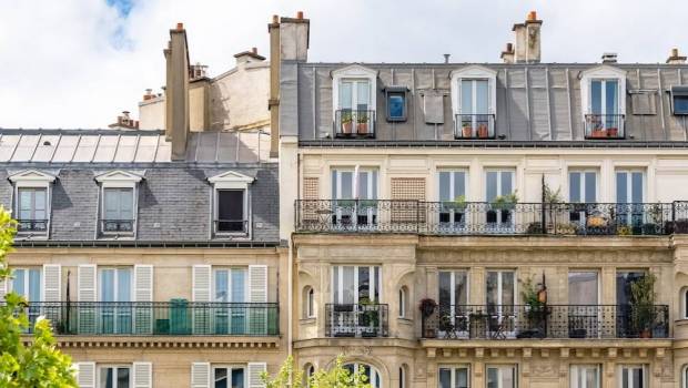 syndic anatomie dune profession mal aimee