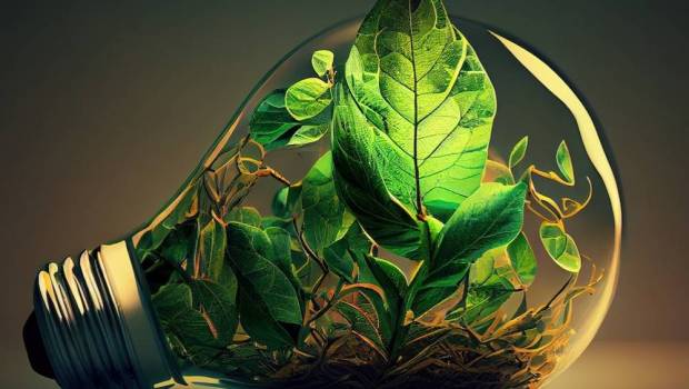 transition ecologique oui mais