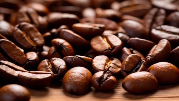 le cafe legal veut bousculer le marche domine par nespresso et lavazza