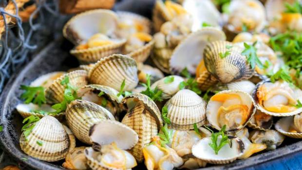 les produits de la mer mericq et maison blanc sunissent