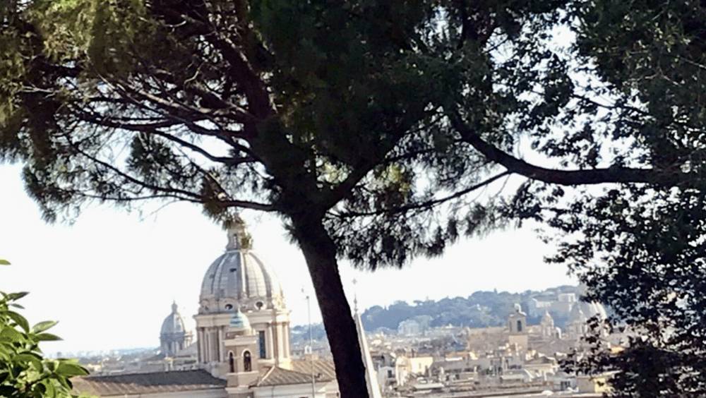 les pins de rome