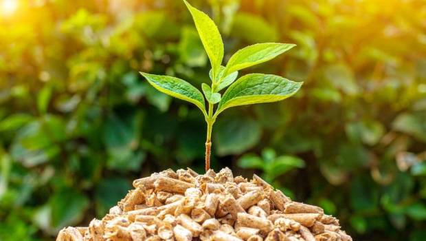 la bioeconomie pourra t elle sauver la planete