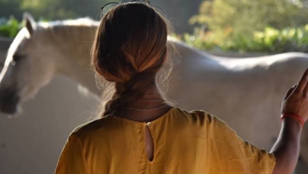 la mediation equine ou equicoaching une methode de coaching innovante et puissante