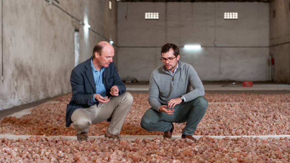 normandie alland robert exporte 95 de son activite a linternational