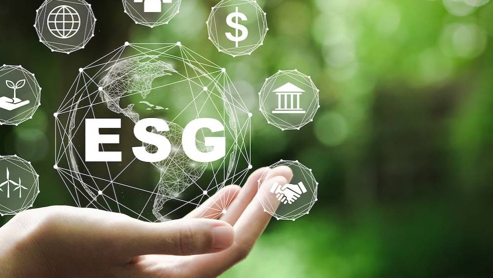 normes esg une opportunite business bien plus quune contrainte