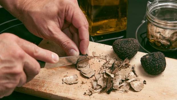 30 me pour la pme familiale plantin leader francais de la truffe