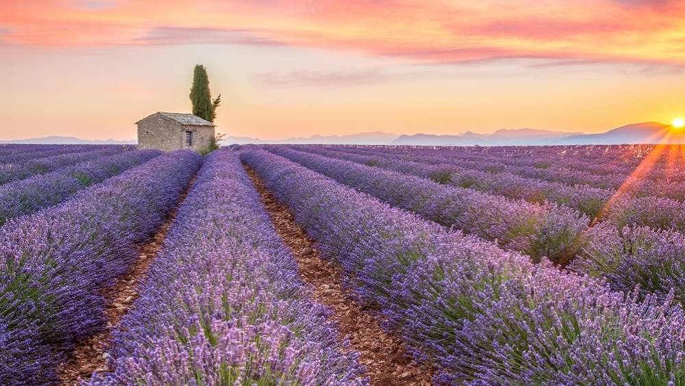 le nouveau pari dolivier baussan fondateur de loccitane