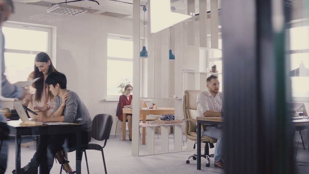 vive la liberte entrepreneuriale