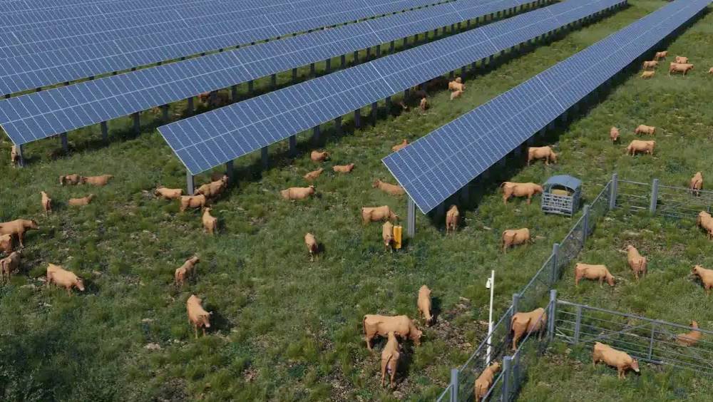 aviation verso energy mise un milliard sur les carburants durables