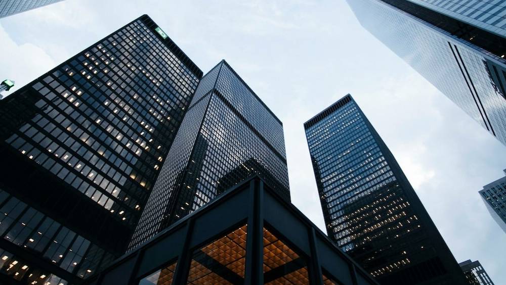 le monde impitoyable des multinationales dans une corporate jungle a la francaise