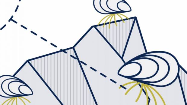 bysco la start up qui transforme les filaments de moules en textile durable