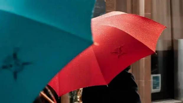pme et savoir faire local la success story des parapluies de cherbourg